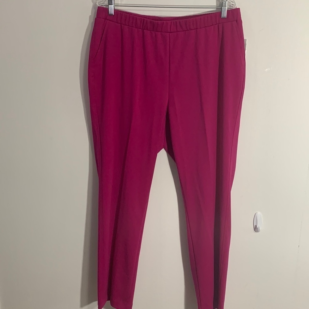 Allison Daley Plus Pink stretch pants Sz 16W 2 pockets NWT